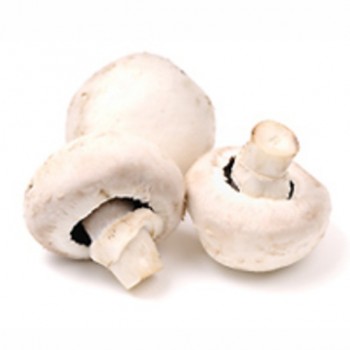 CHAMPIGNONS